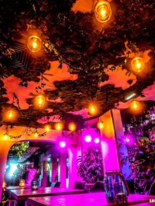 King Kong Bar : Fabuleuse Jungle 